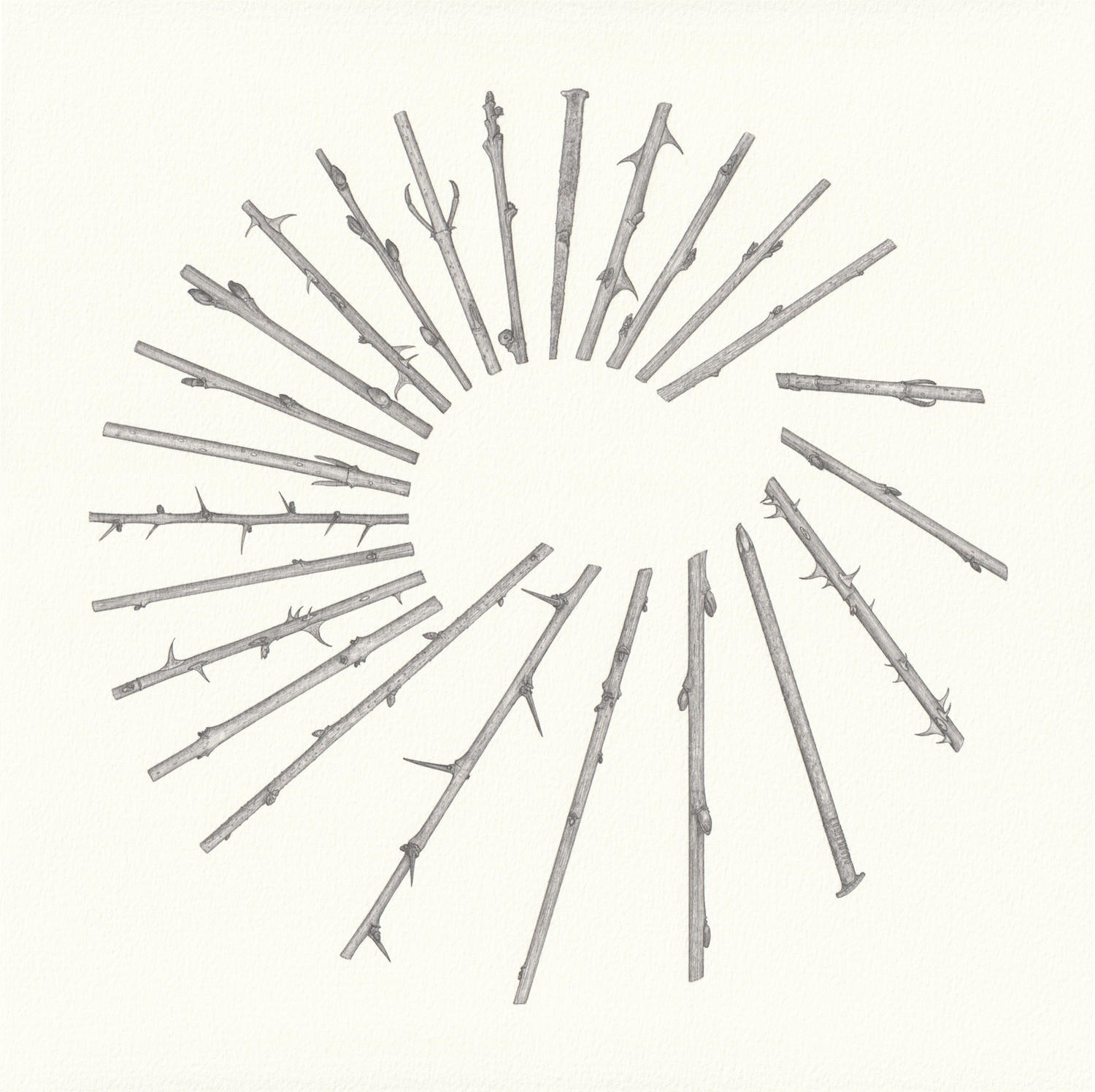 Circle Arc (28 x 28 cm) pencil on paper
